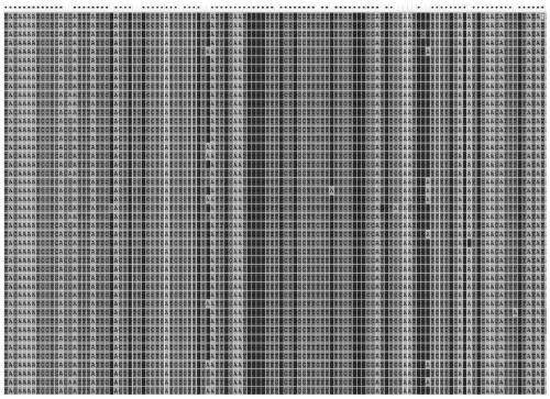 Method for detecting H5-subtype and H7N9-subtype highly pathogenic avian influenza viruses as well as H9-subtype avian influenza virus