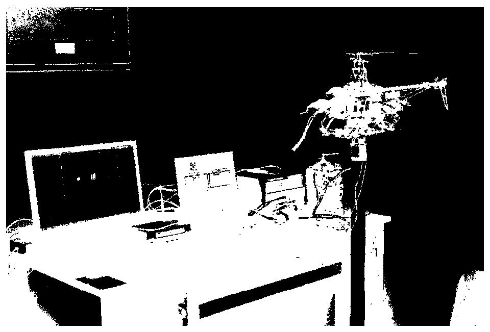 Attitude Nonlinear Adaptive Control Method for Small Unmanned Helicopter