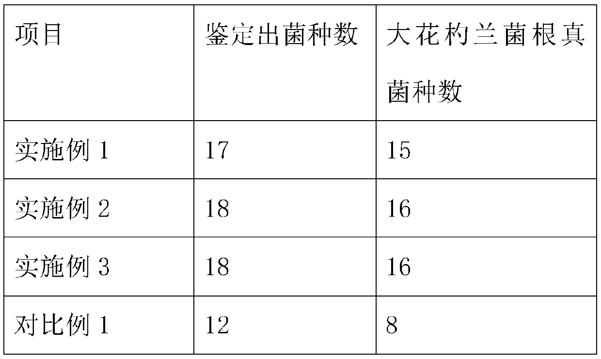 Culture medium for screening endophytic fungi of cypripedium macranthum