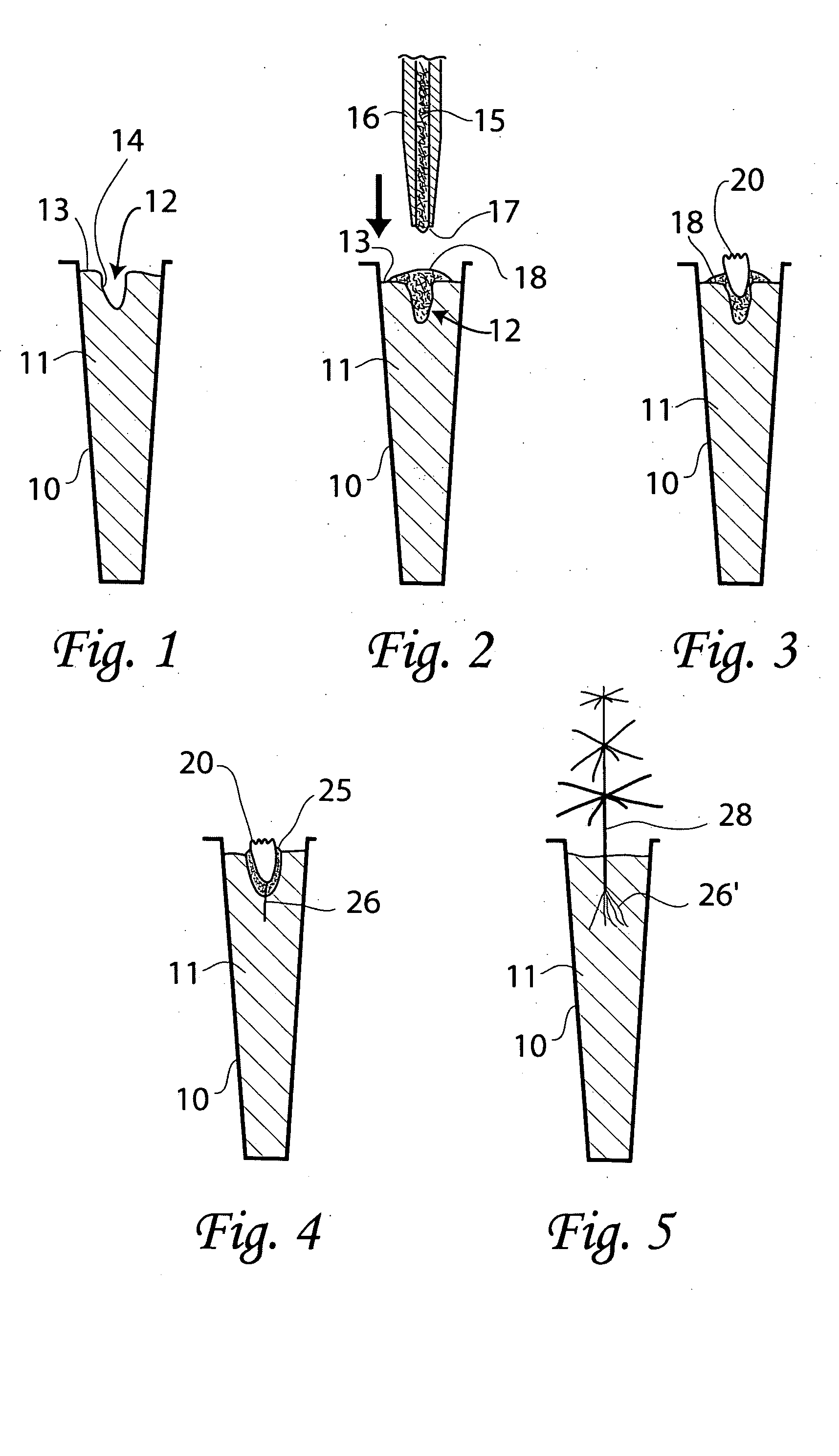 Method of ex vitro sowing, germination, growth and conversion of plant somatic embryos or germinants, and nutrient medium used therefor