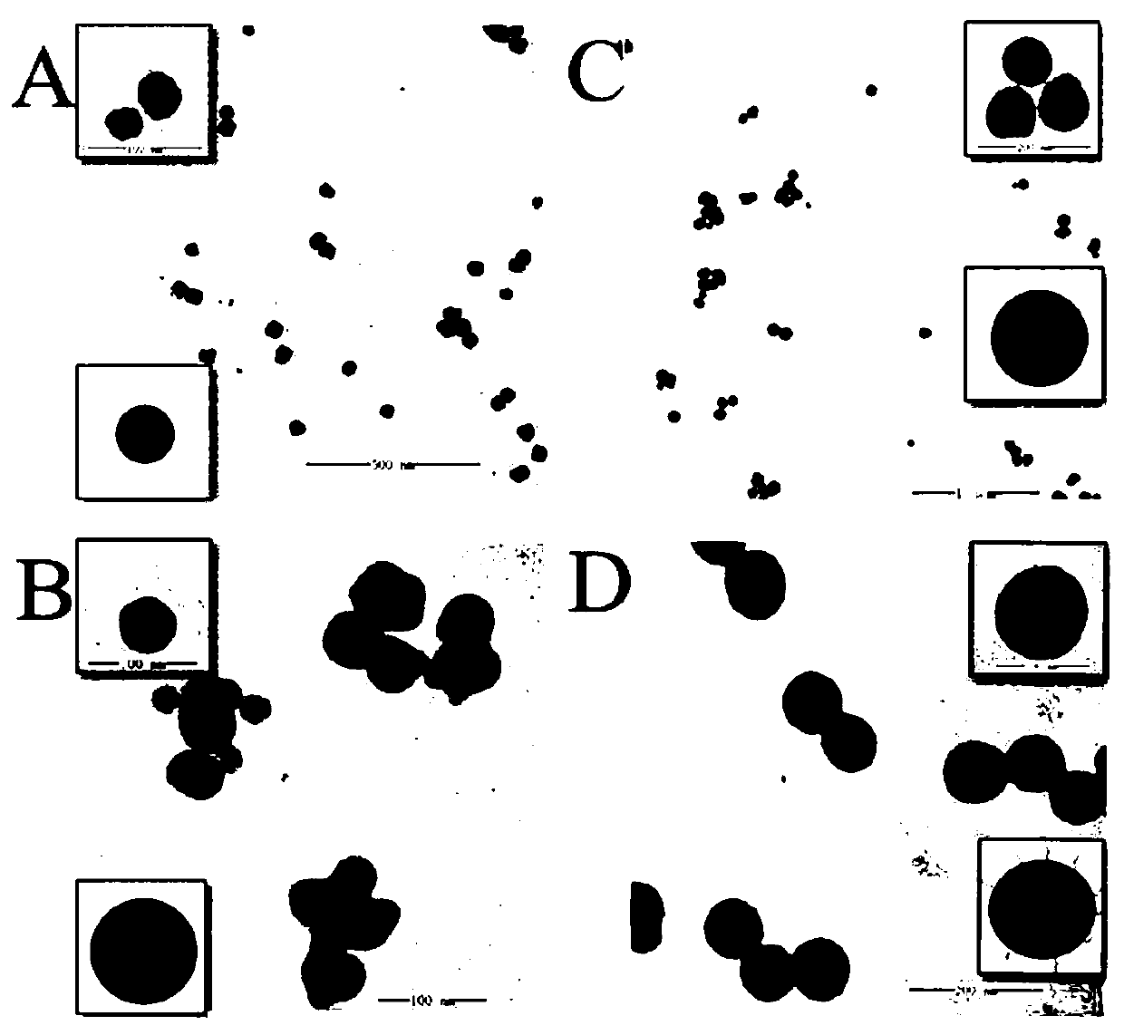 A kind of magnetic nanoparticle composite for t1, t2 dual-mode magnetic resonance contrast agent and preparation method thereof