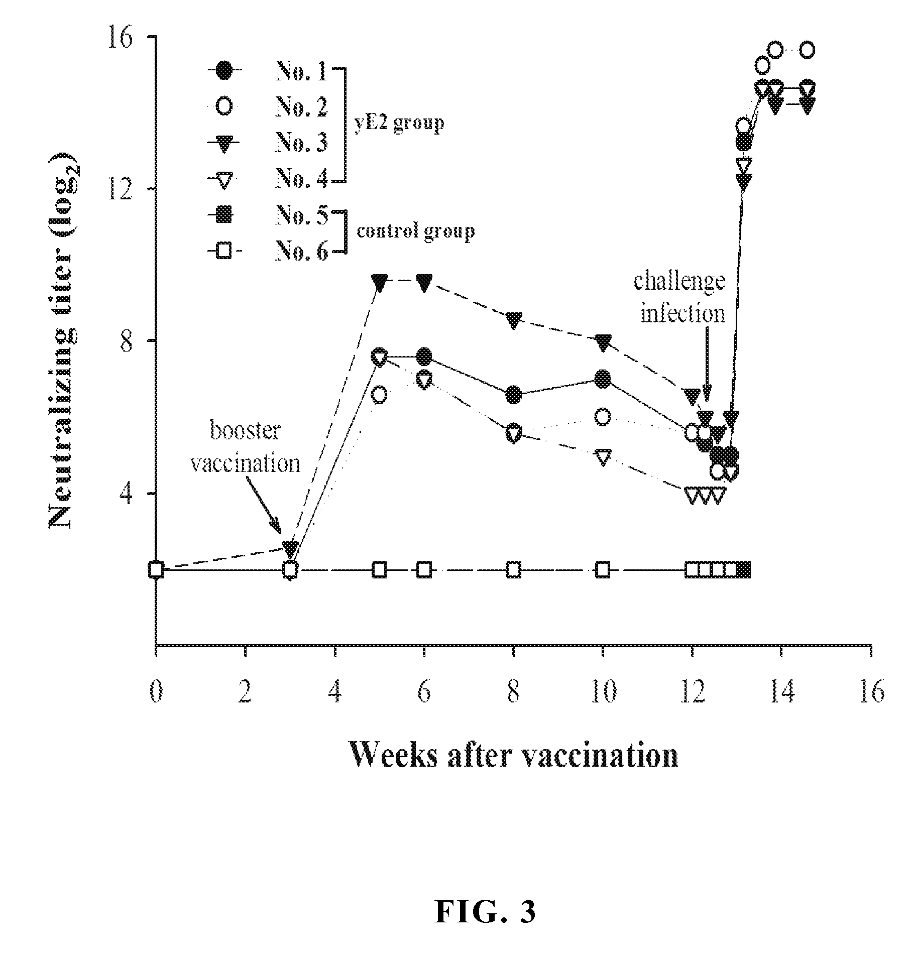 Yeast expressed classical swine fever virus glycoprotein e2 and use thereof