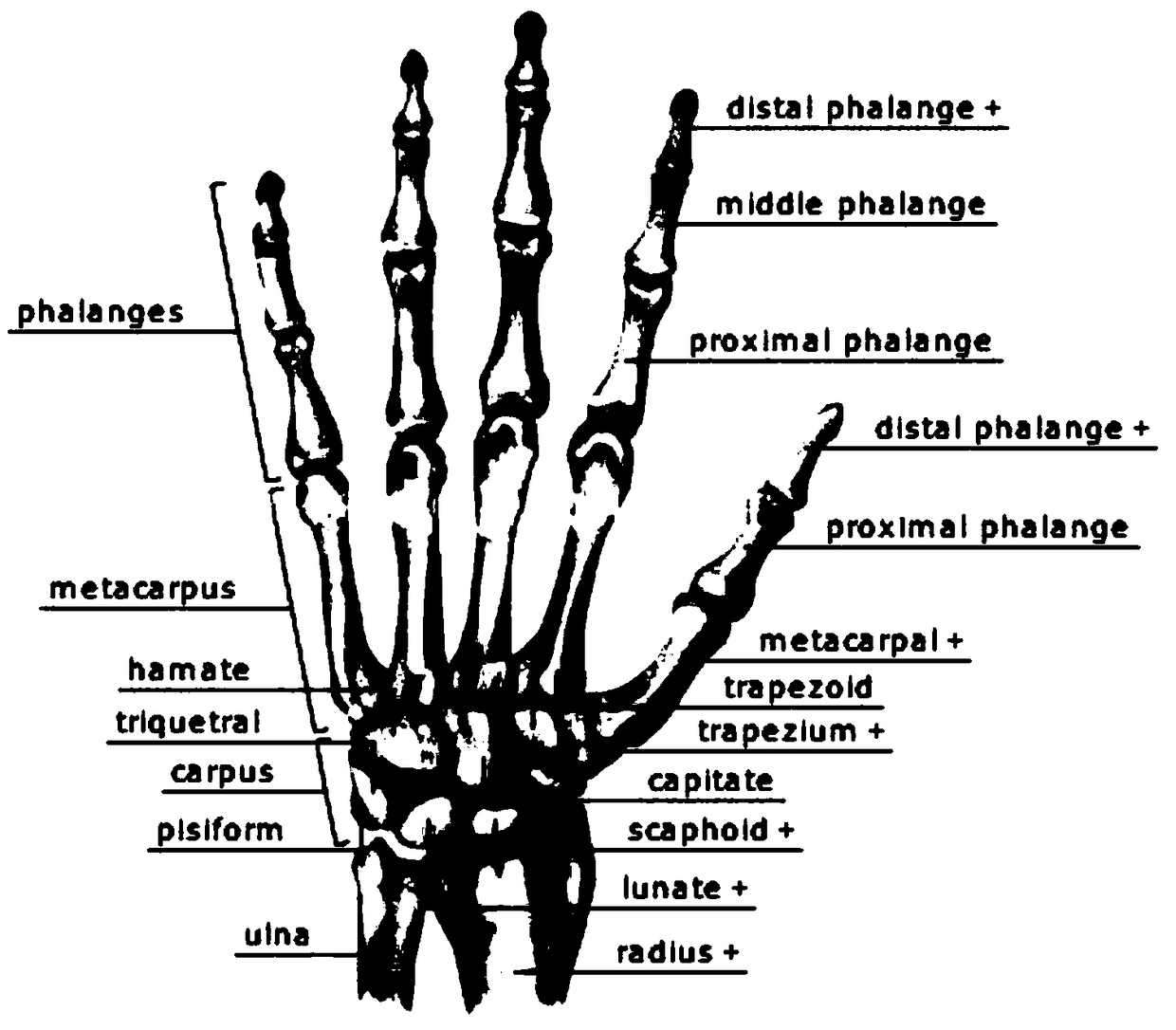 Piano supervision method and device, computer device and storage medium