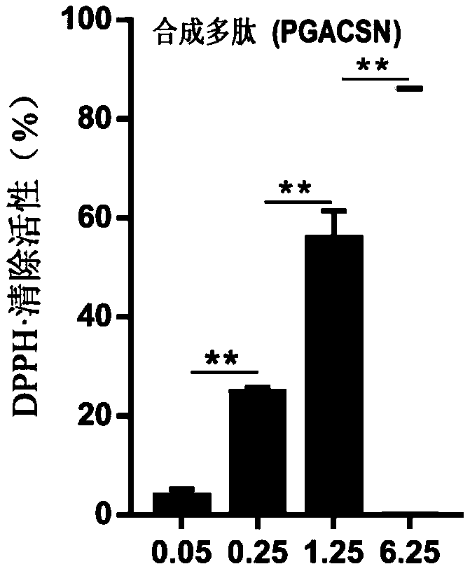 Synthetic polypeptide with antioxidant effect and gene encoding same, and preparation method and application of synthetic polypeptide