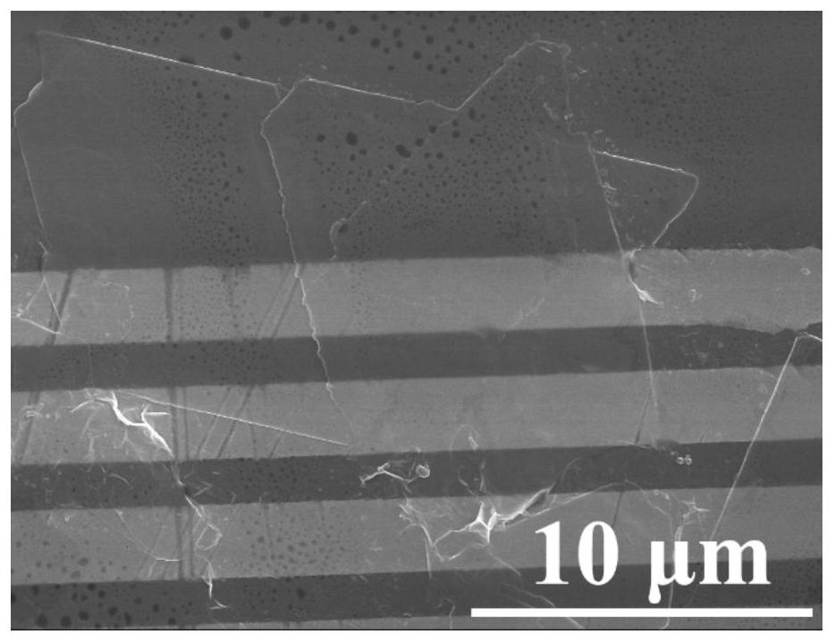 Thin-layer MXene/hexagonal crystal phase molybdenum disulfide composite material, and preparation method and application thereof