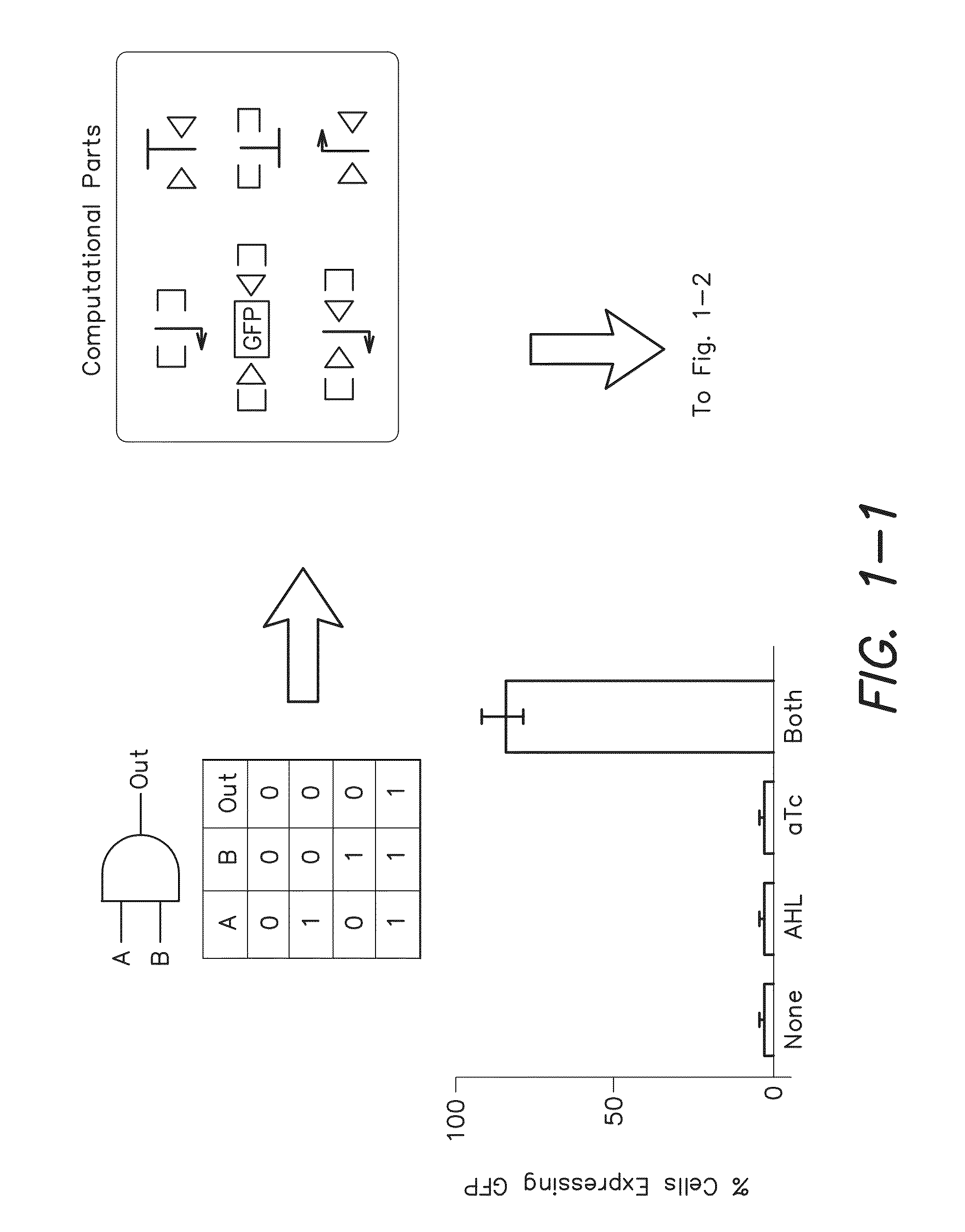 Recombinase-based logic and memory systems