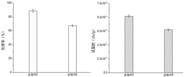 L plantarum LP45 living bacterium preparation for regulating intestinal flora and application