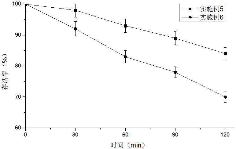 L plantarum LP45 living bacterium preparation for regulating intestinal flora and application