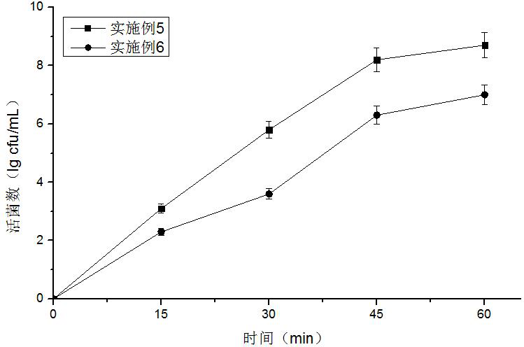 L plantarum LP45 living bacterium preparation for regulating intestinal flora and application