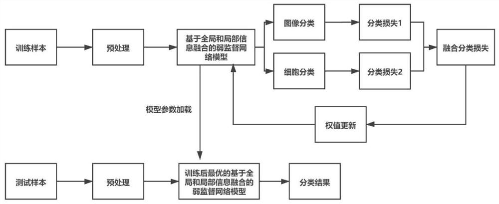 Weak supervision cervical cell image analysis method fusing global and local information