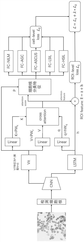 Weak supervision cervical cell image analysis method fusing global and local information