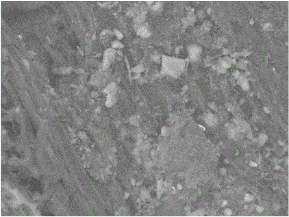 Preparation and application of manganese dioxide modified charcoal for removing 17beta-estradiol in water