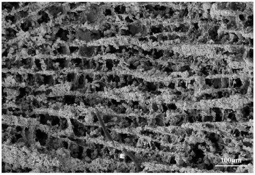 Copper-based contact material with microscopic orientation structure and preparation method of copper-based contact material