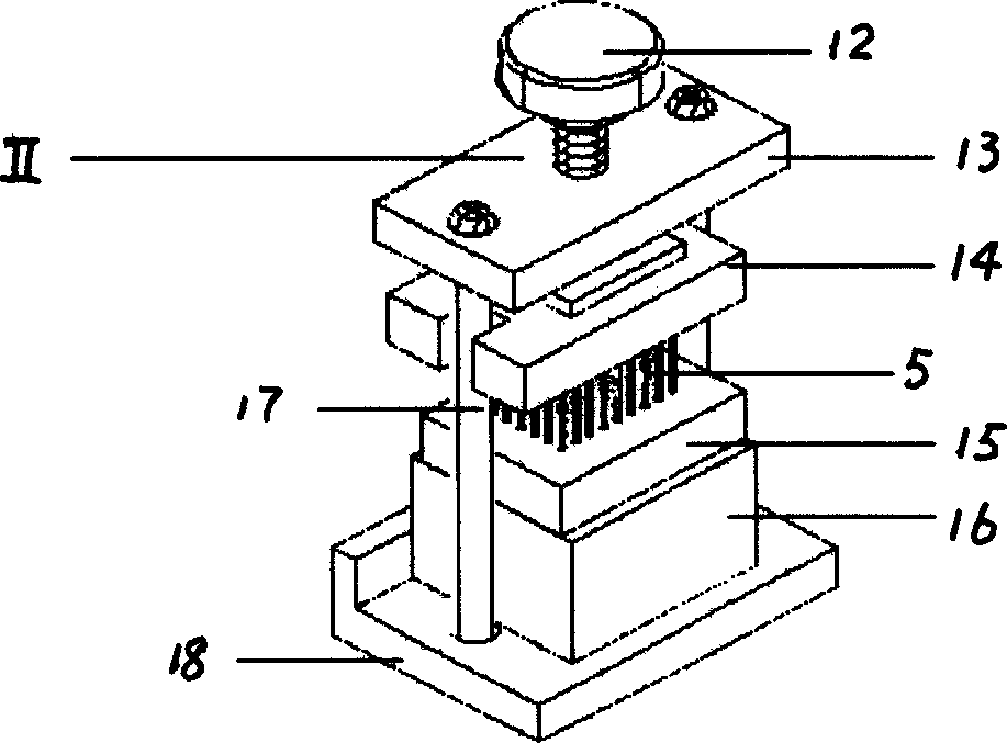 Process for preparing tissue chips and apparatus thereof