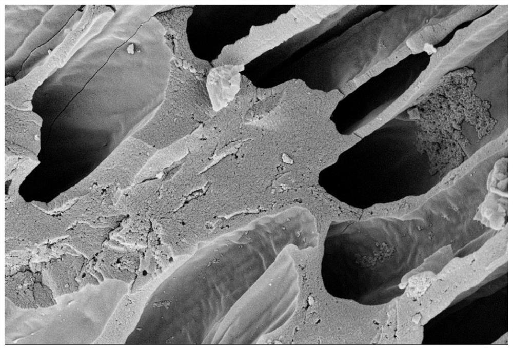 Copper/porous carbon catalyst and preparation method and application thereof