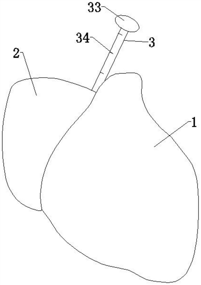 Atrial fibrillation demonstration model