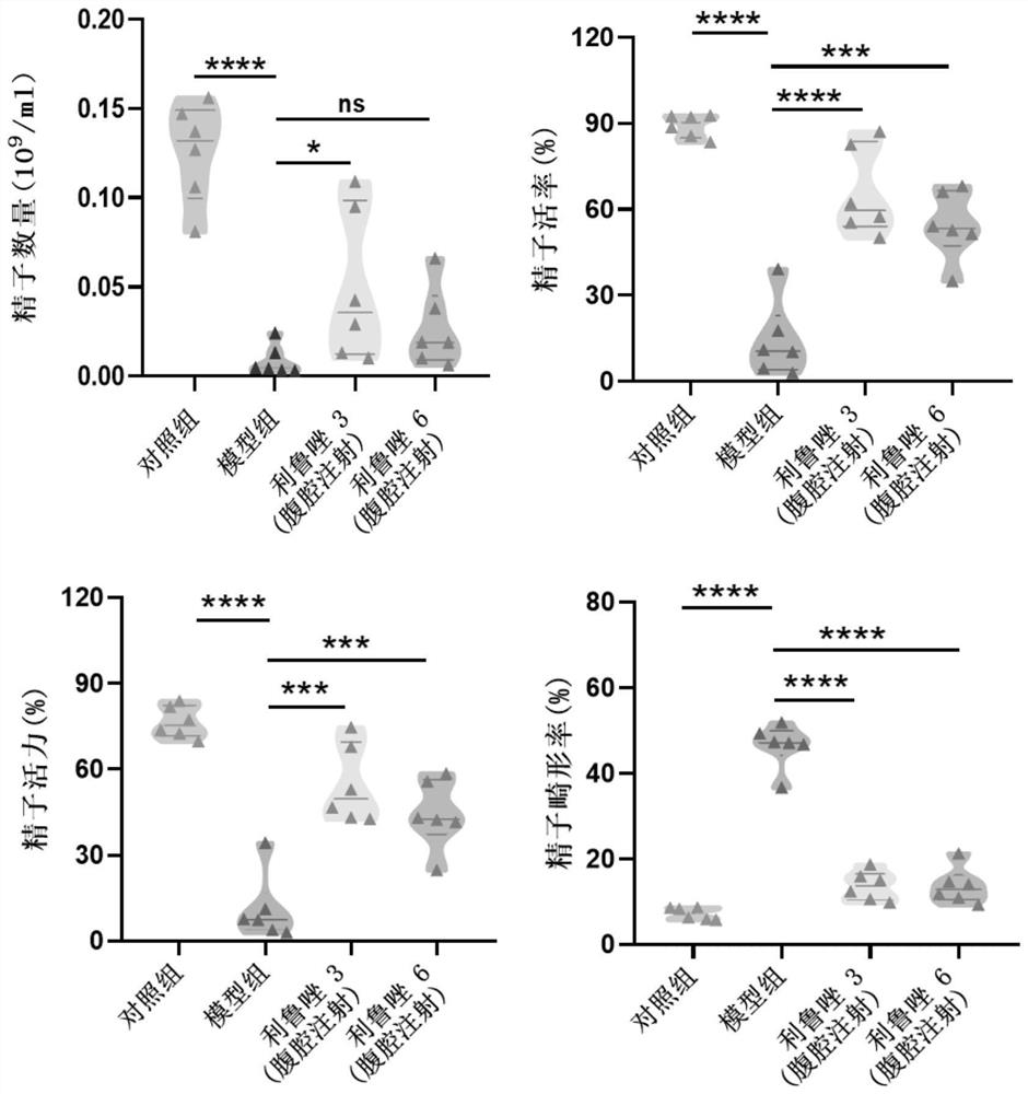 Application of riluzole in treatment of oligospermia