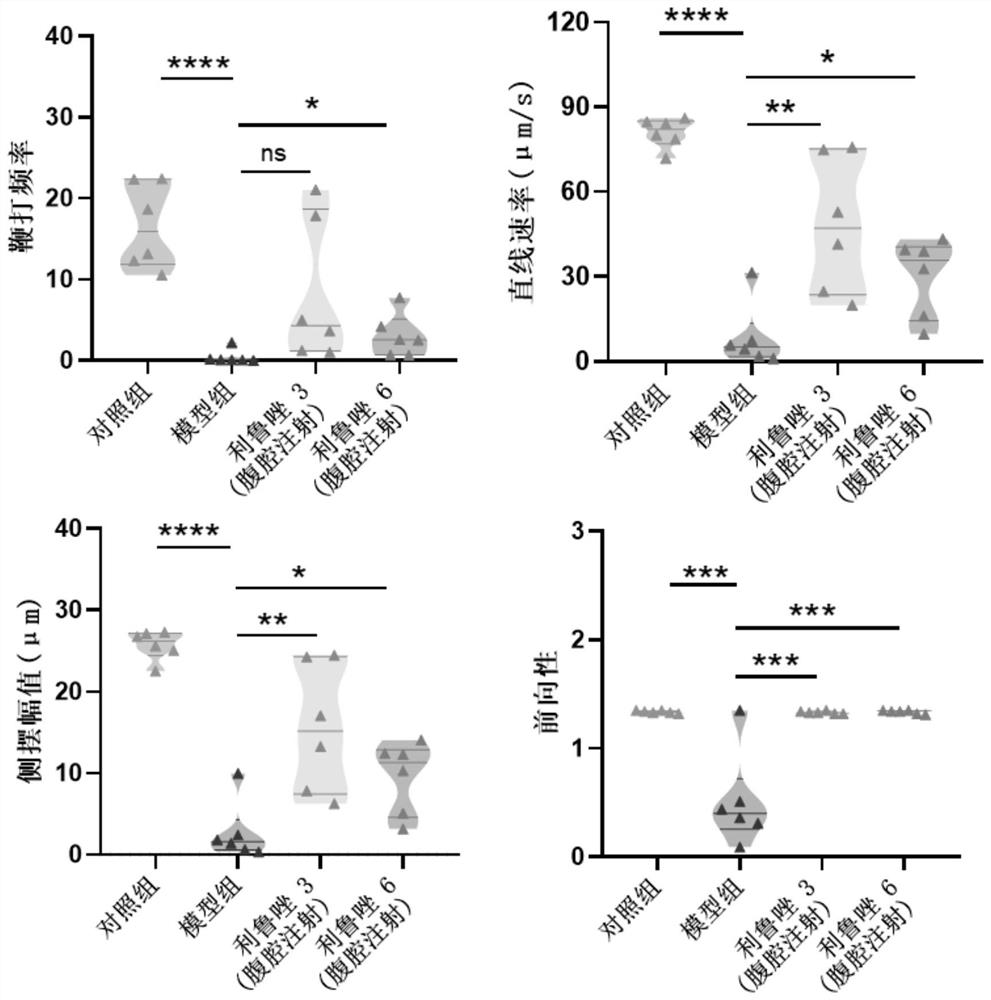 Application of riluzole in treatment of oligospermia