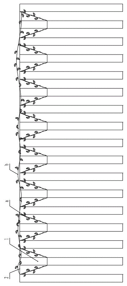 Red kiwi tree cultivation method