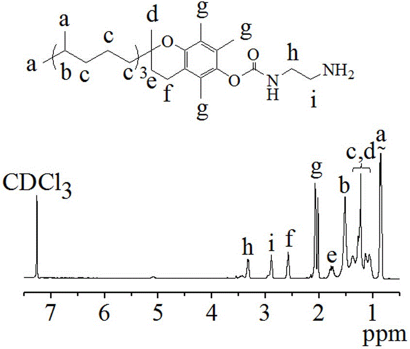 Hydrophobic functional micromolecule-hydrophilic polyamino acid based biodegradable polymer and preparation method and application thereof