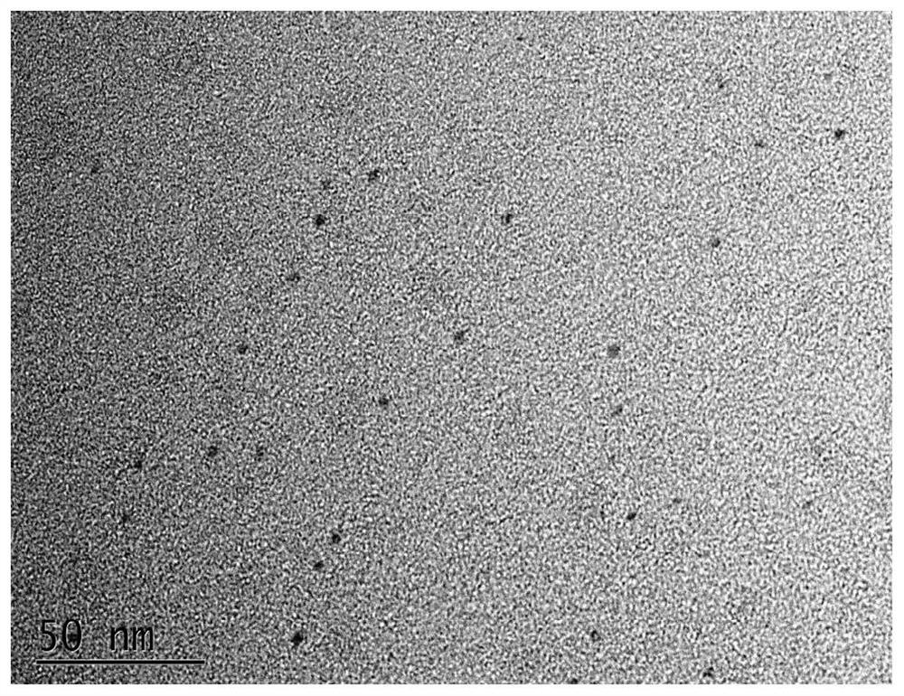 Preparation of bismuth-doped silver sulfide quantum dots with near-infrared two-region fluorescence/photo-thermal performance