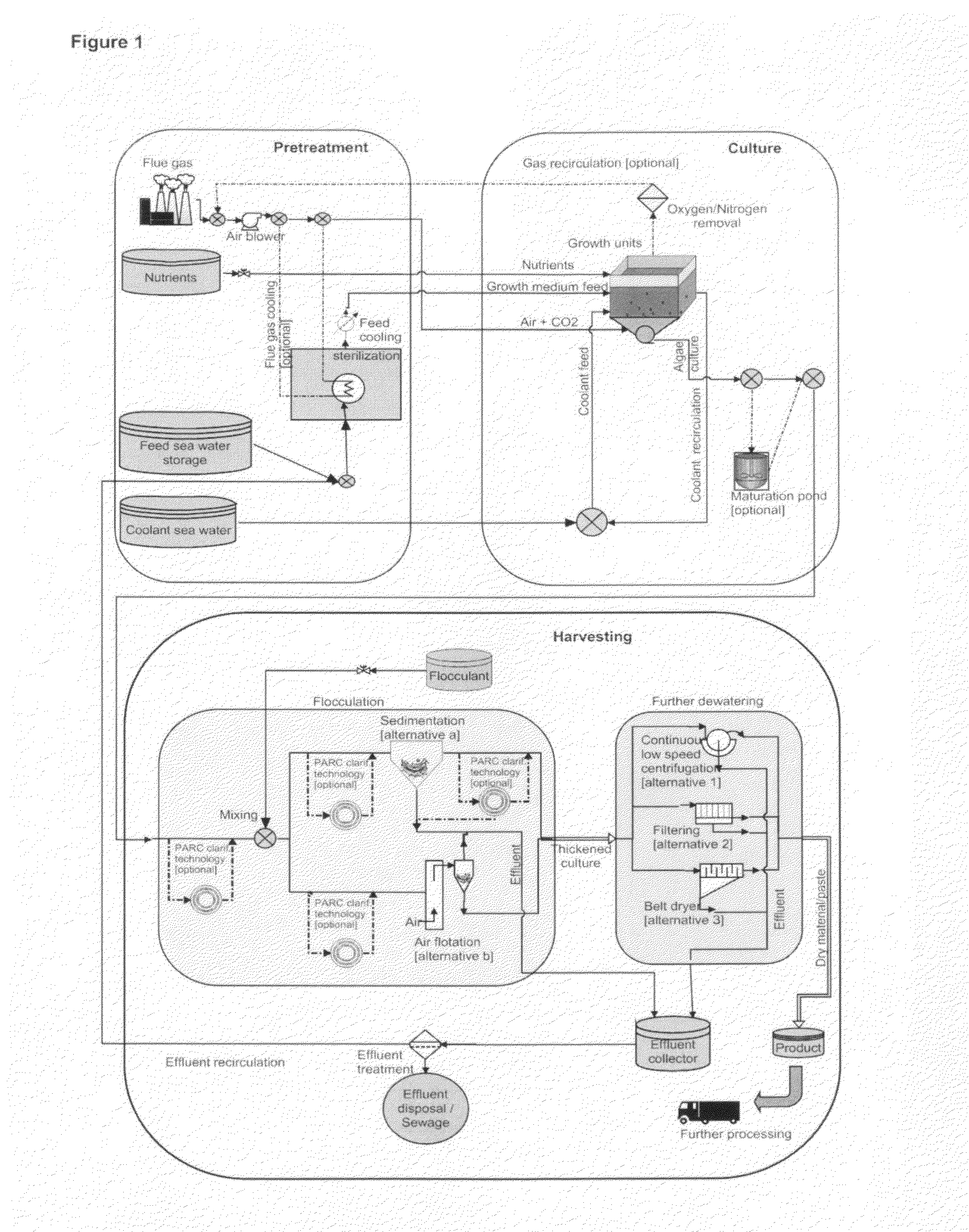 Method and system for efficient harvesting of microalgae and cyanobacteria