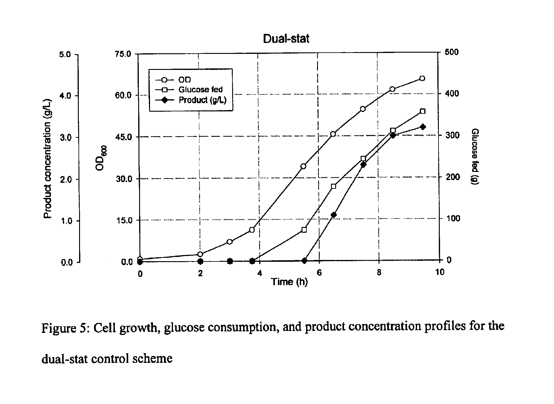 Feeding processes for fermentation