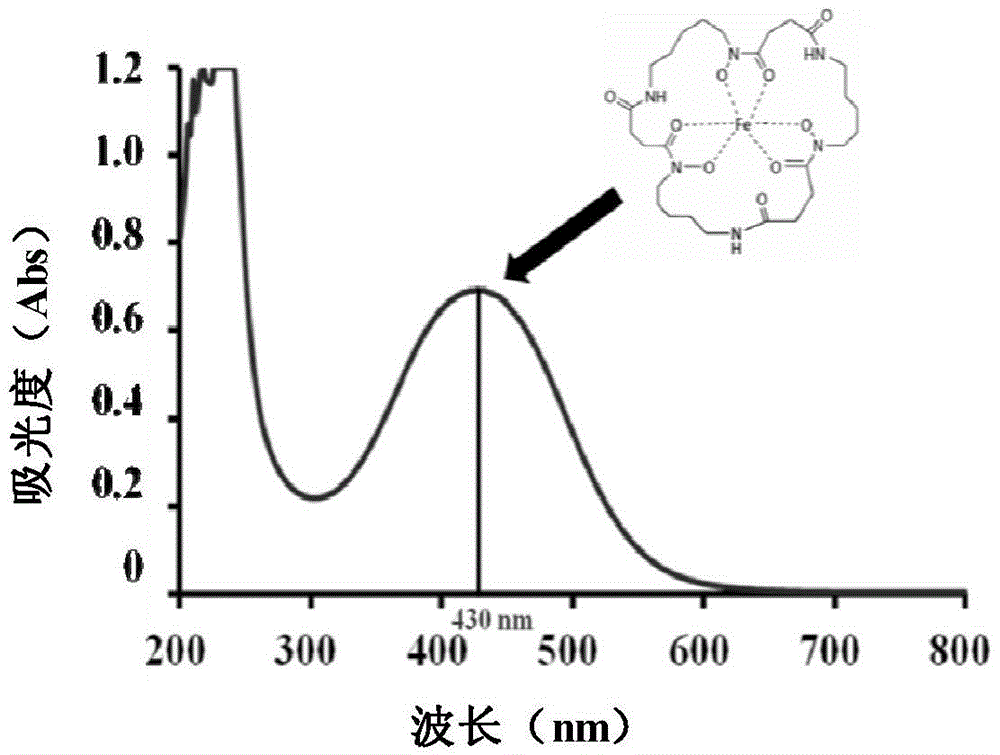 Nanometer particles with iron chelators encapsulated in amphiphilic polymers and preparation method and application thereof