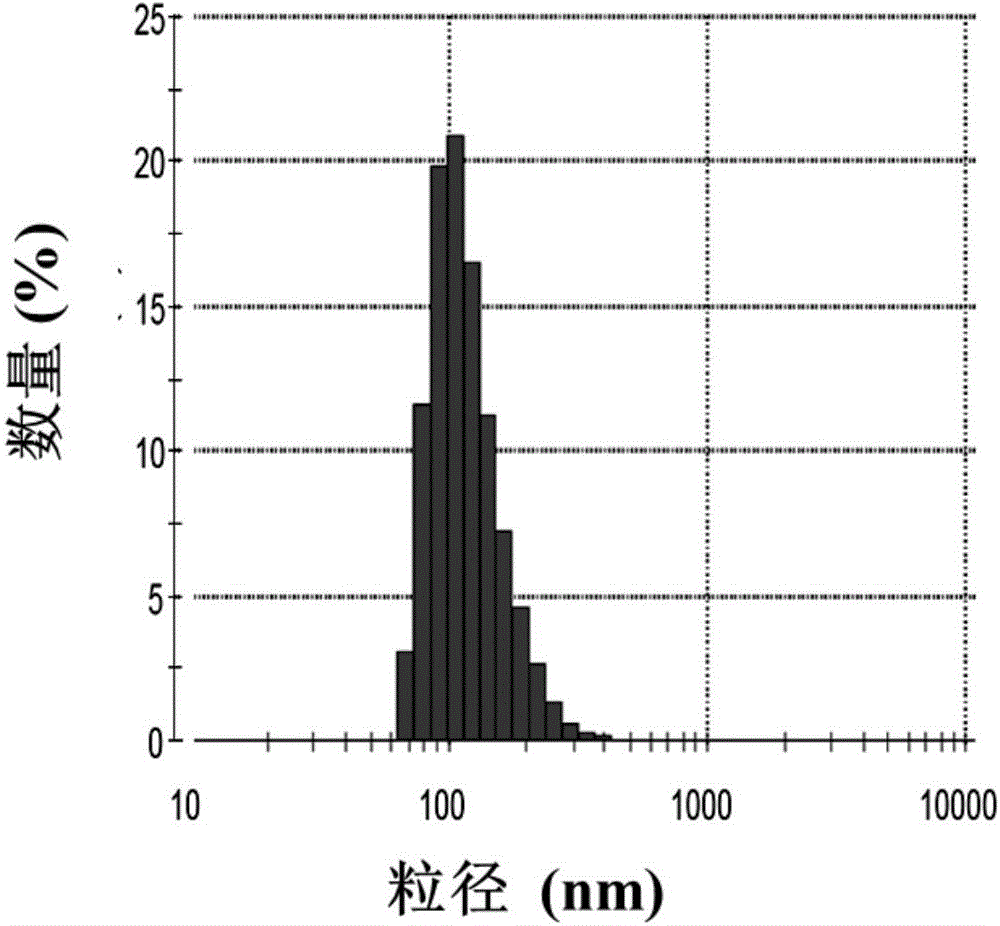 Nanometer particles with iron chelators encapsulated in amphiphilic polymers and preparation method and application thereof