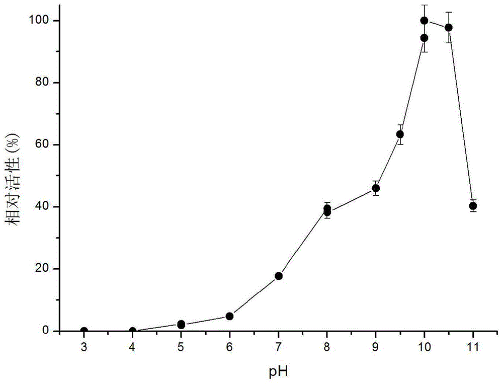 A kind of method for synthesizing l-theanine by enzymatic method