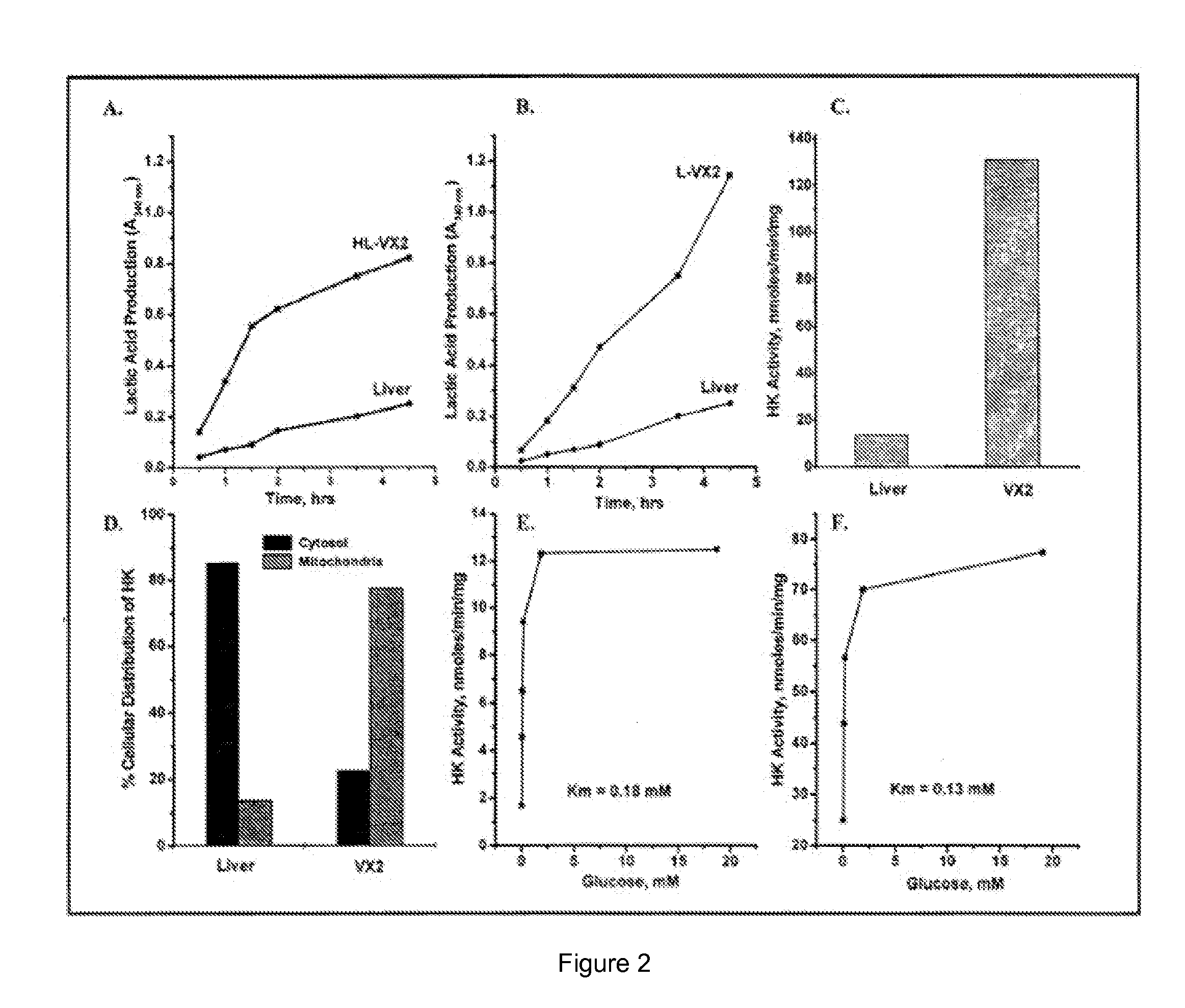 Therapeutics for cancer using 3-bromopyruvate and other selective inhibitors of atp production