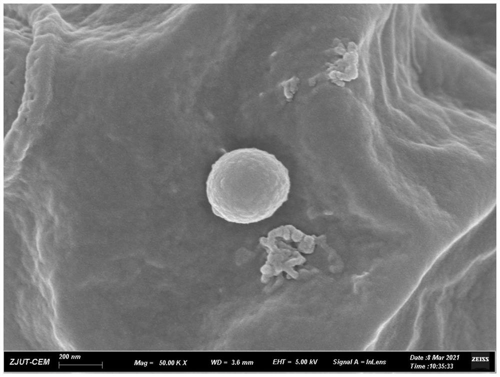 Recombinant saccharomyces cerevisiae engineering bacteria and application thereof in synthesis of nano-selenium