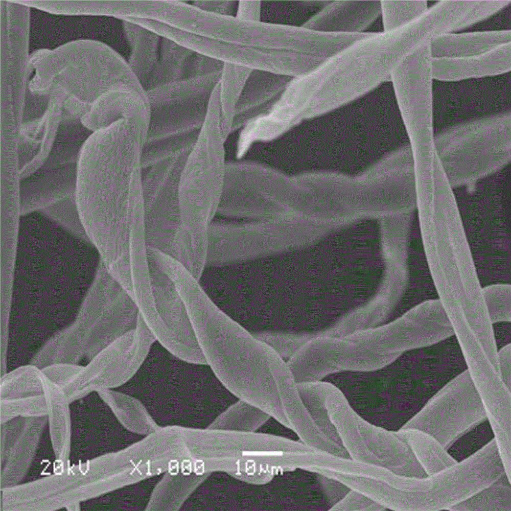 Preparation method of cotton fiber coal-base material, and application thereof as electrode material of supercapacitor