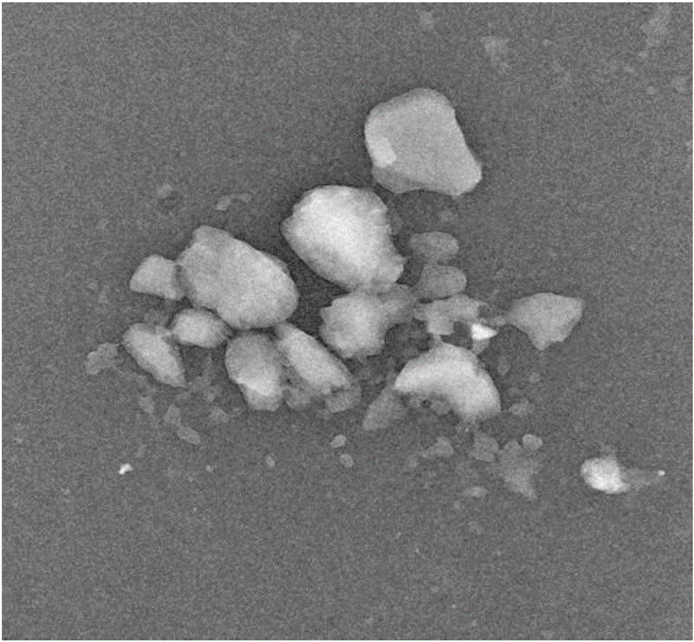 Andrographolide and glycyrrhizin dual-drug nano-composite particles and preparation method and application thereof