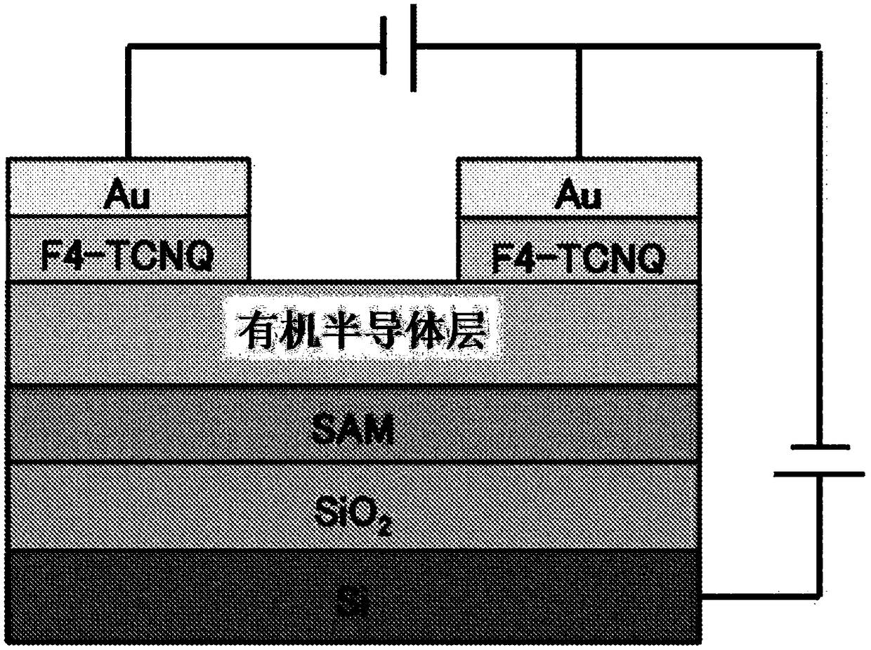 Novel organic polymer and method for producing same