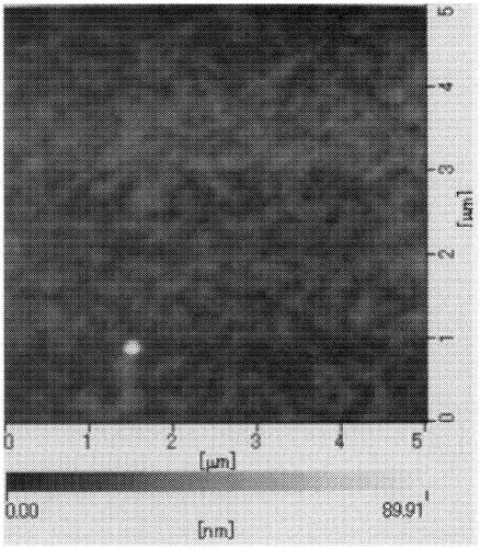 Novel organic polymer and method for producing same