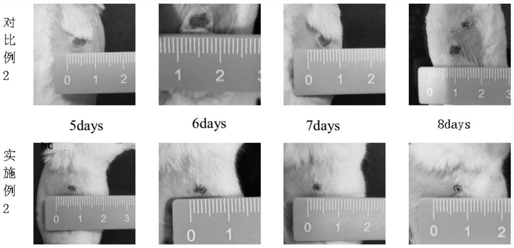 Combination medicine for promoting skin wound healing and hair growth and preparation method thereof