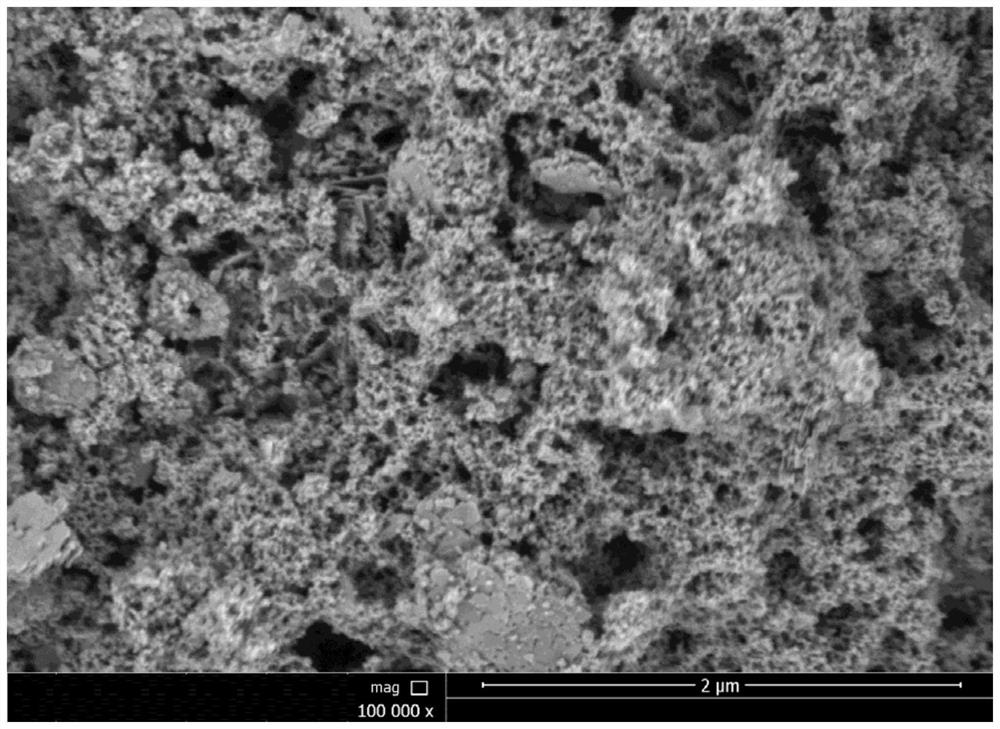 Method for coating positive electrode material precursor with tin base and positive electrode material precursor