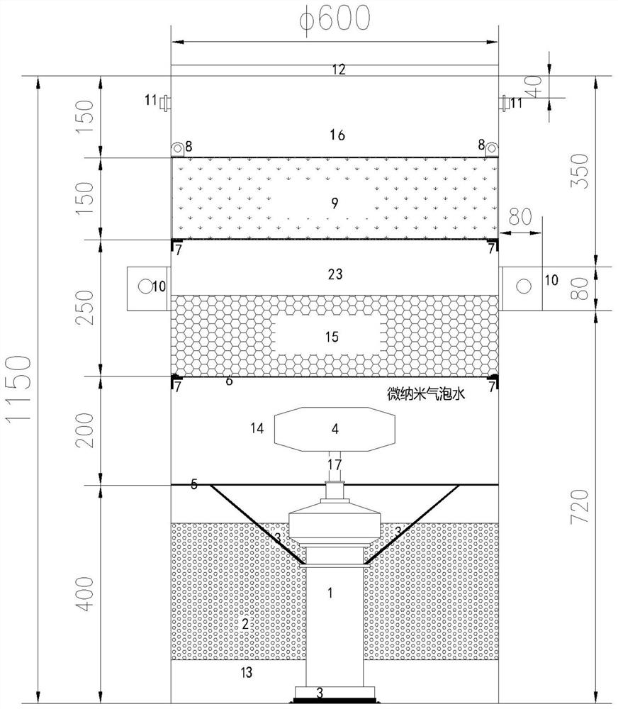 An in-situ biological nest micro-nano aeration water purification system and method