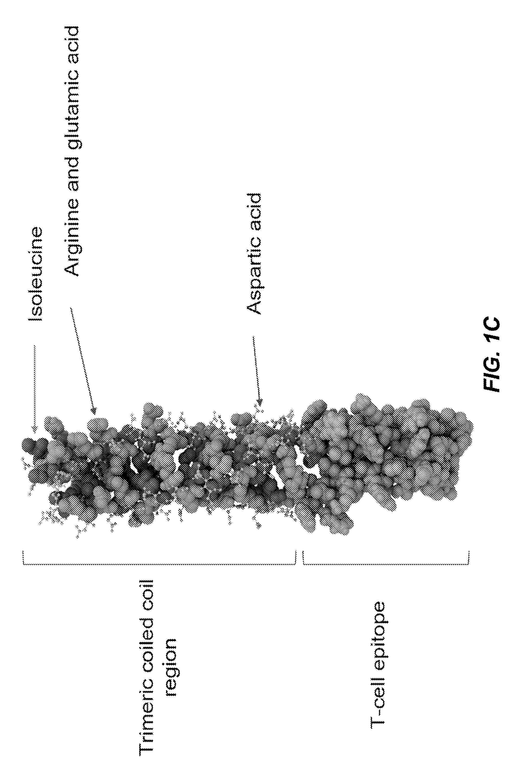 Synthetic hapten carrier compositions and methods