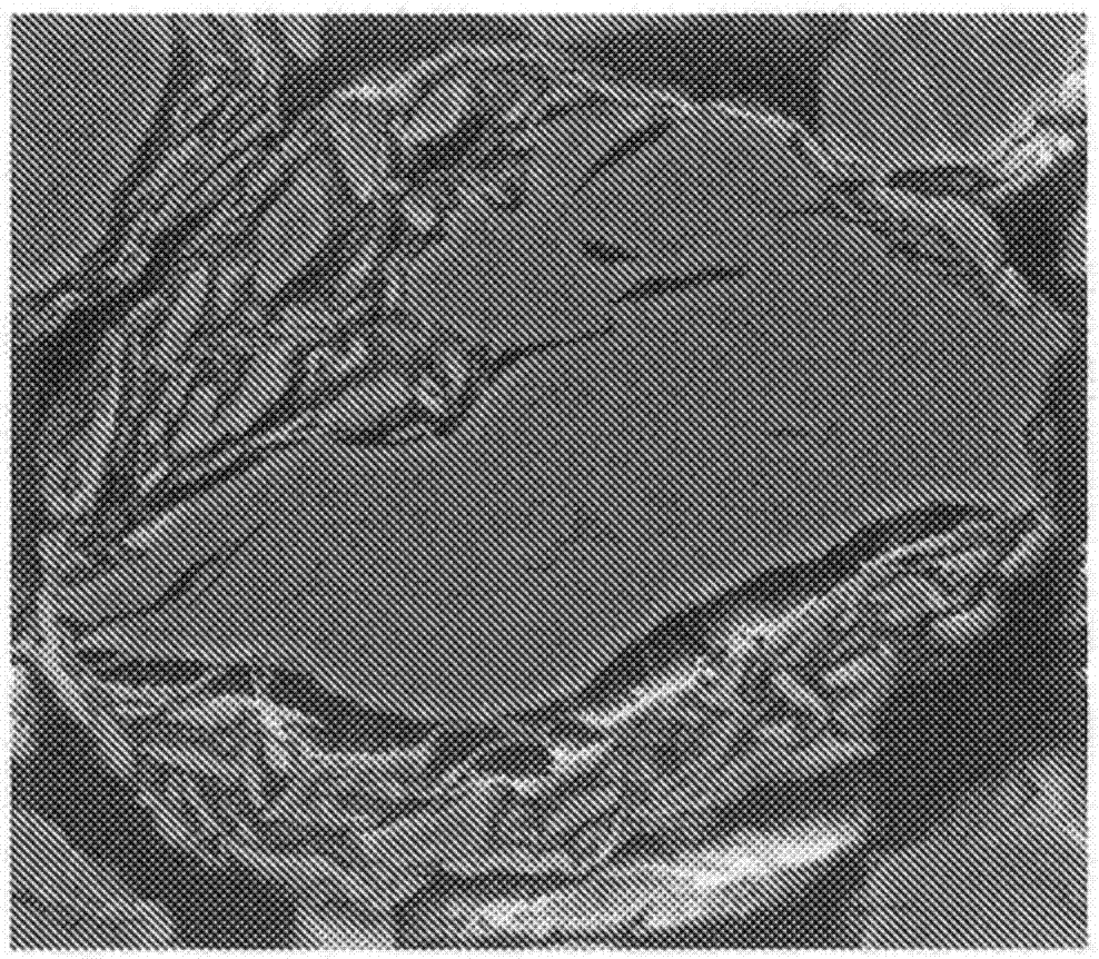 Carbon material, method for producing carbon material, and non-aqueous secondary battery using carbon material