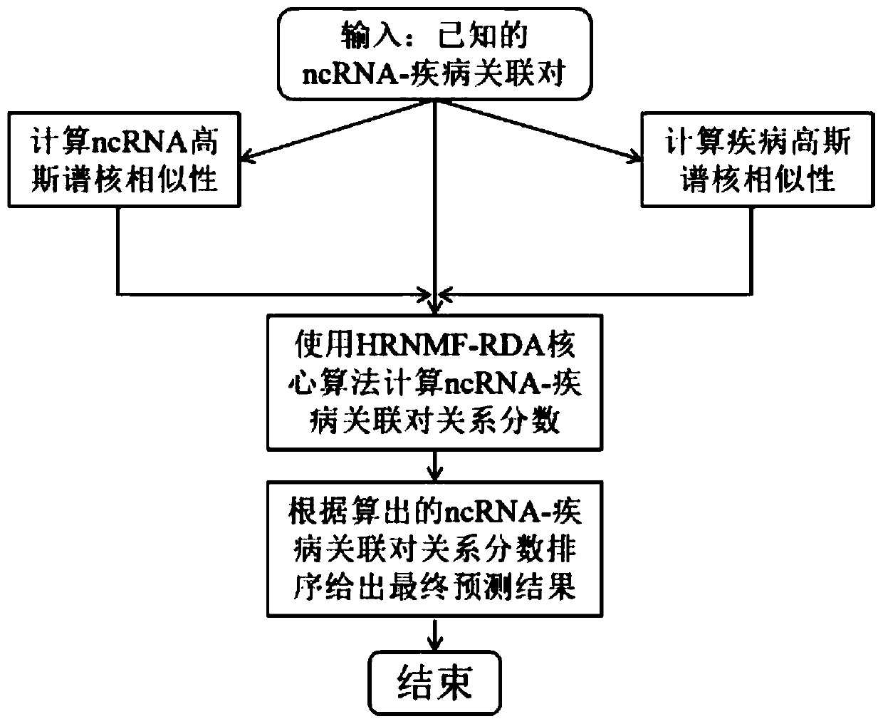 Non-coding RNA and disease relation prediction method based on Hessian regular non-negative matrix factorization