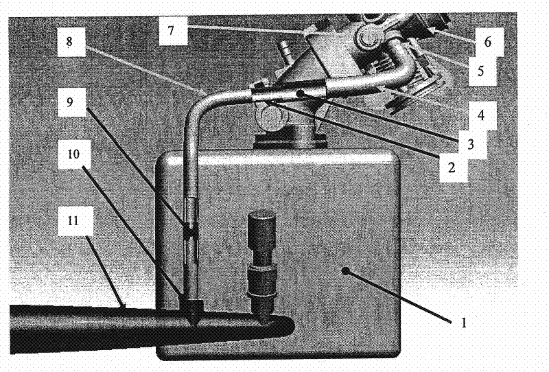 Exhaust gas recirculation system for spark ignition engine