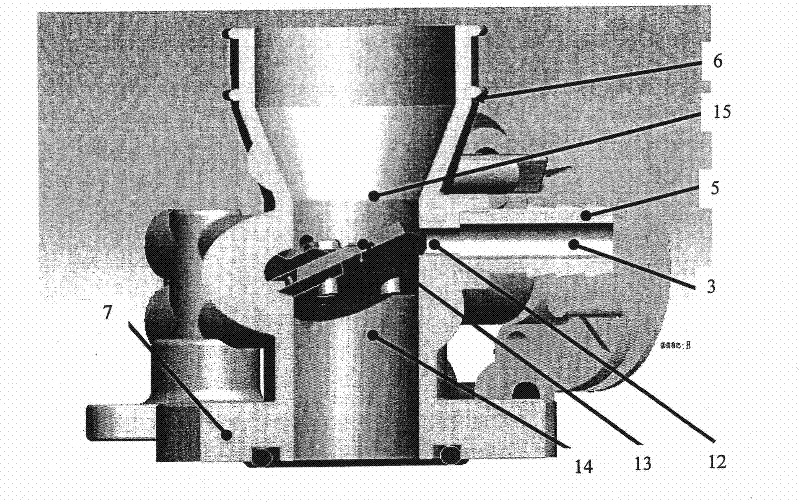 Exhaust gas recirculation system for spark ignition engine