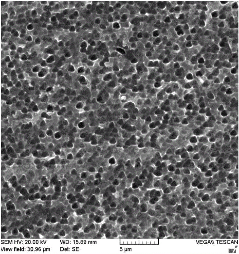 One-step wet black silicon preparation and surface treatment method