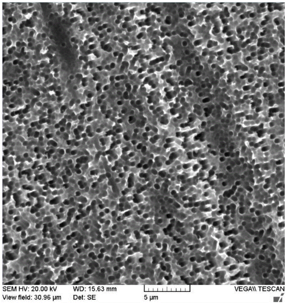 One-step wet black silicon preparation and surface treatment method