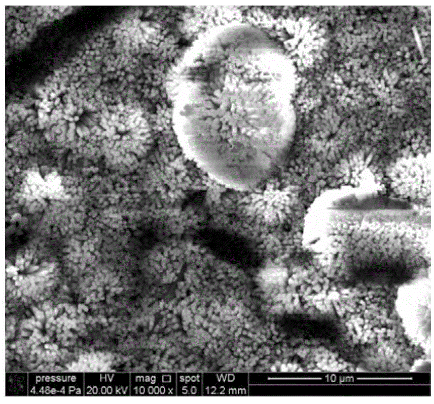 Silver-containing fluorhydroxyapatite coating, and preparation method and application of coating