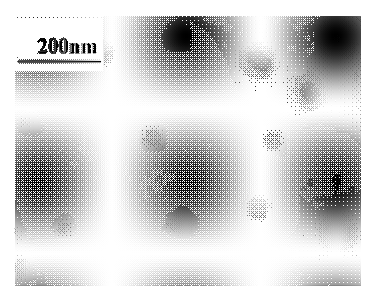 Cigarette filter containing material selectively decreasing biological harm of carbon monoxide (CO) in smoke and preparation method of cigarette filter