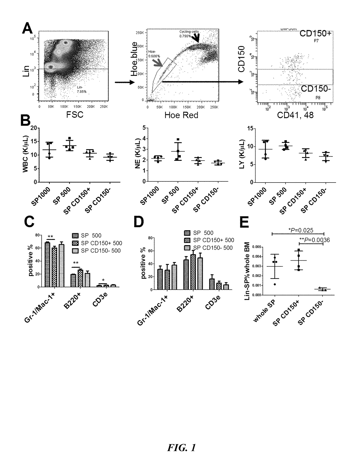 SIRT1 inhibitors and stem cell rejuvenation