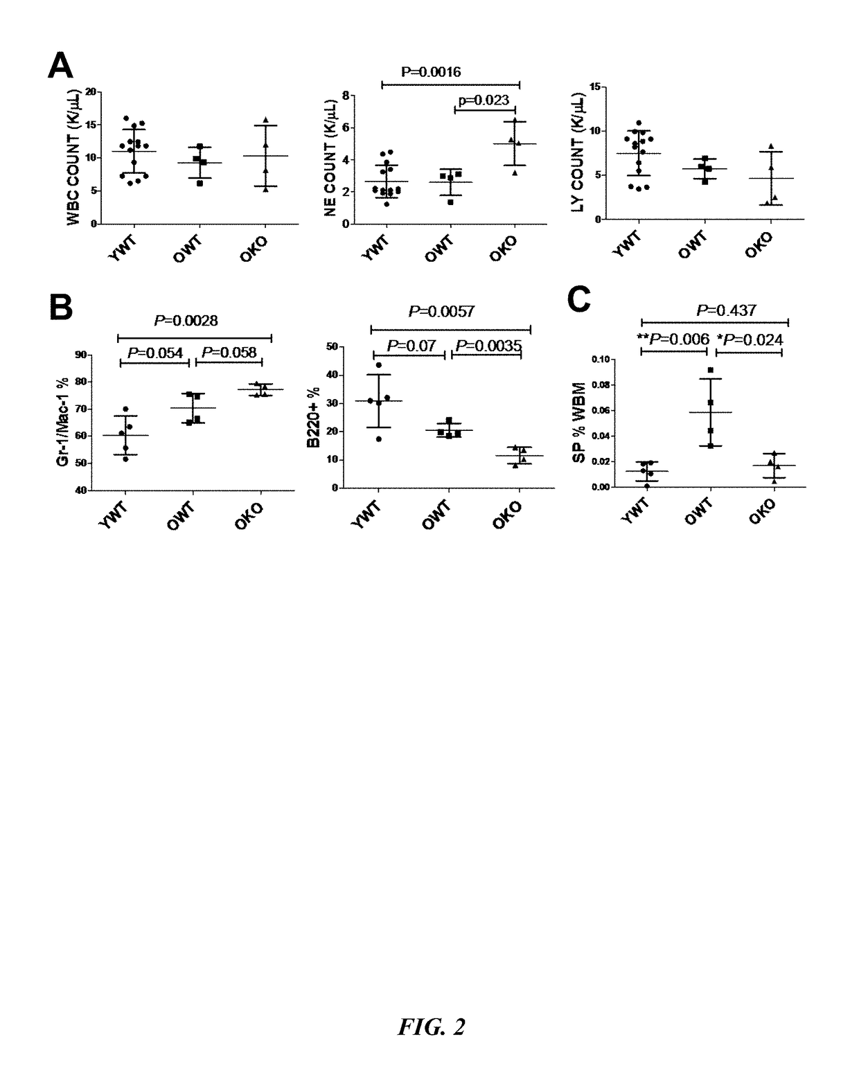 SIRT1 inhibitors and stem cell rejuvenation